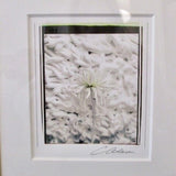 Framed Signed Photo 22.5"W x 25"T