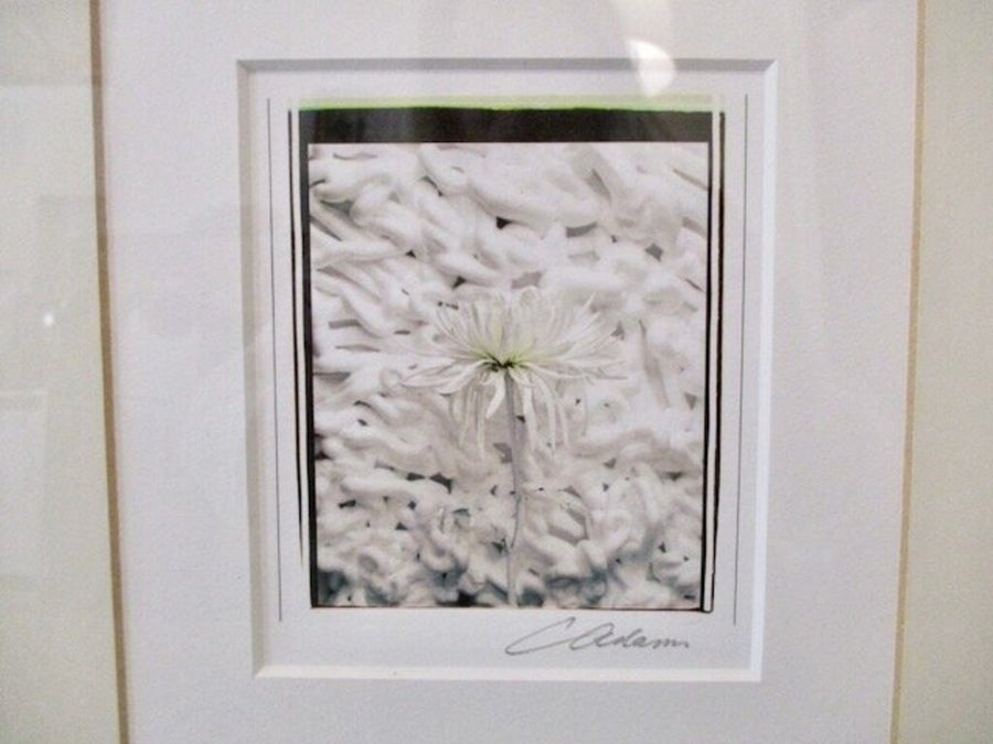 Framed Signed Photo 22.5"W x 25"T