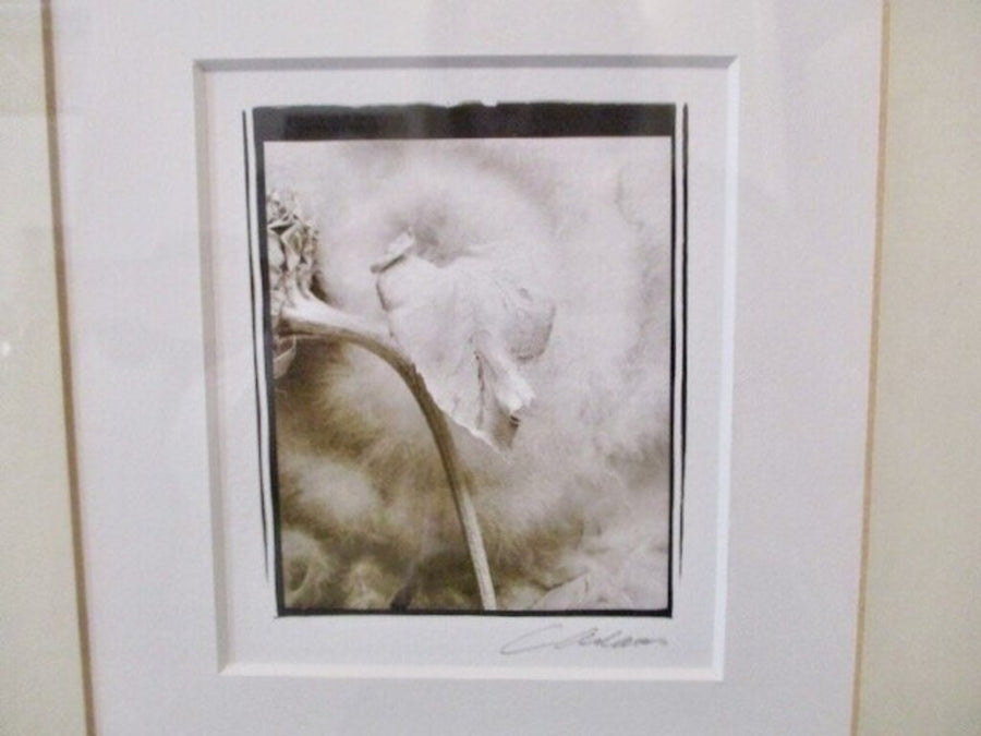 Framed Signed Photo 23"W x 25"T