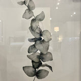 Botanical Flower Print 29" x 23"W