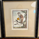 Custom Framed Encyclopedia Monkey Print 14"W x 16"T