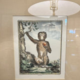 Custom Framed Encyclopedia Monkey Print 14"W x 16"T