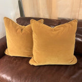 Pair Of Topaz Velvet Pillows 22" x 22"