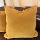 Pair Of Topaz Velvet Pillows 22" x 22"