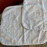 Pair of Lee Jofa Kaya Ii, Sky Shams 22" x 22"