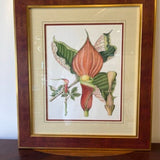 Framed Floral Art 23"T x 20"W