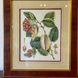 Framed Floral Art 23"T x 20"W