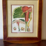 Framed Floral Art 23"T x 20"W