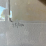 Original Italian Signed And Numbered Etching "Fig" 24"W x 29"T