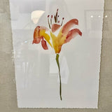 Framed Floral From Paragon Signed Mosley 22"W x 9"T