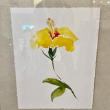 Framed Floral From Paragon Signed Mosley 22"W x 26"T