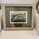Antique Framed Fish Print From Antonio Raimo Galleries 15.5 "W X 13"T