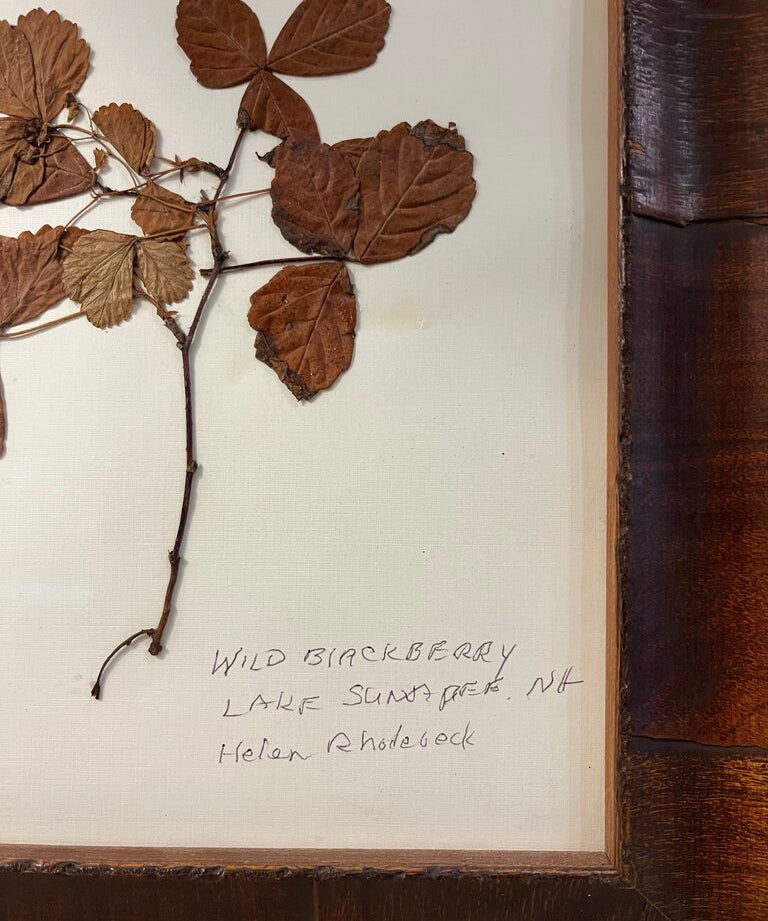 Signed Helen Rhodebeck Pressed Wild Blackberry Floral 12" x10"