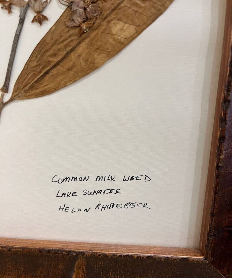 Signed Helen Rhodebeck Milkweed Pressed Floral 12" x 10"