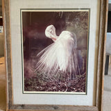 Original Signed & Numbered CC Lockwood Photograph in Cypress Frame 24.5"W x 29.5"T