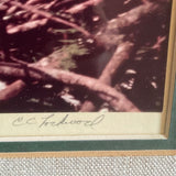 Original Signed & Numbered CC Lockwood Photograph in Cypress Frame 24.5"W x 29.5"T