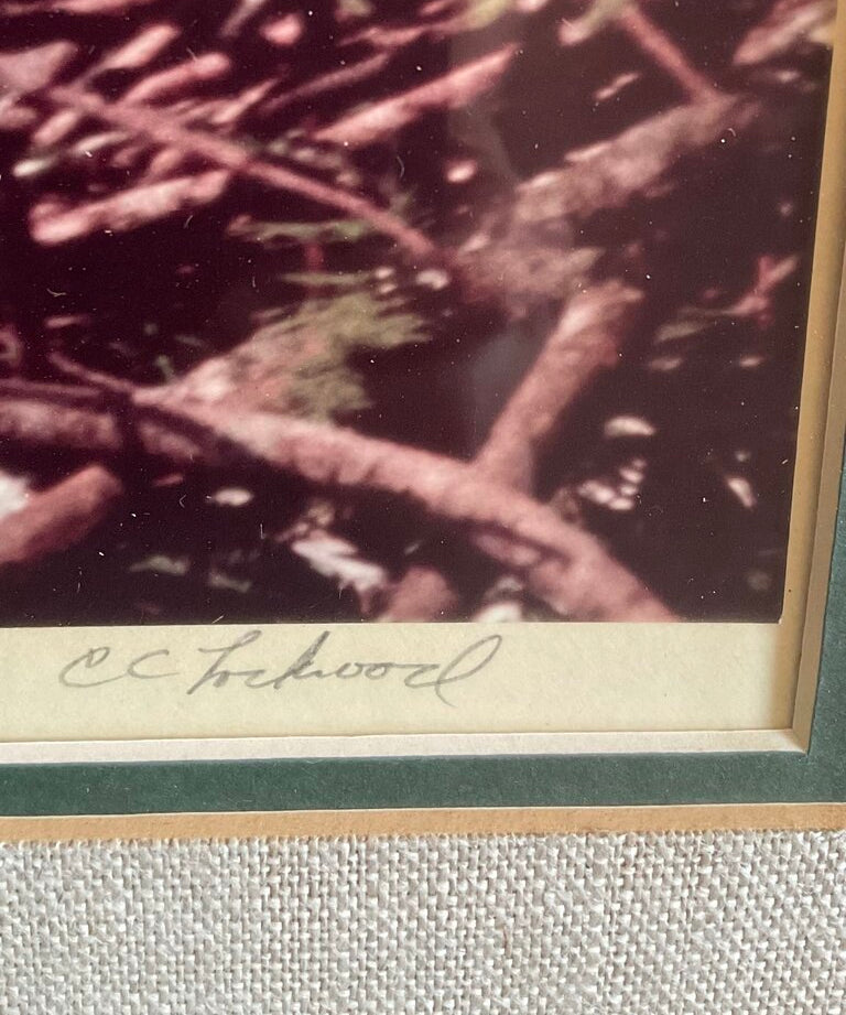 Original Signed & Numbered CC Lockwood Photograph in Cypress Frame 24.5"W x 29.5"T