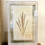 Framed Antique Swedish Botanical "6" 23"T x 16"W