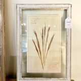 Framed Antique Swedish Botanical "4" 23"T x 16"W