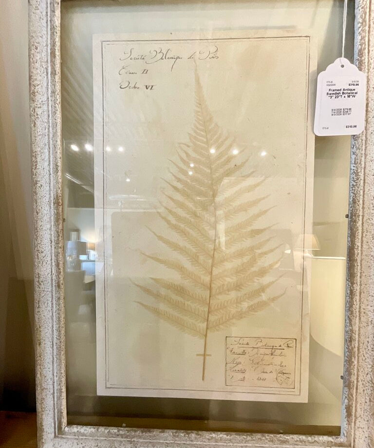 Framed Antique Swedish Botanical "3" 23"T x 16"W