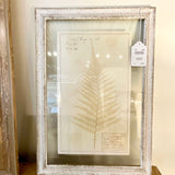 Framed Antique Swedish Botanical "3" 23"T x 16"W