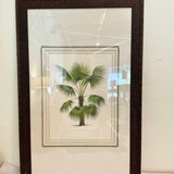 Framed Print Of Palm 32.5"T x 20.5"