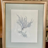 Mrs. Howard Framed Blue Coral Art 27.5 " W X 31" T