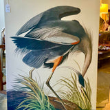 Large Framed Audubon Print 39"W x 54.5"T