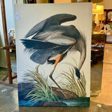 Large Framed Audubon Print 39"W x 54.5"T