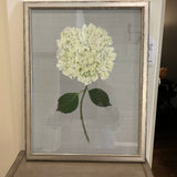 Framed Print Of Hydrangea On Burlap 13"W x 17"T