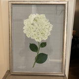 Framed Print Of Hydrangea On Burlap 13"W x 17"T